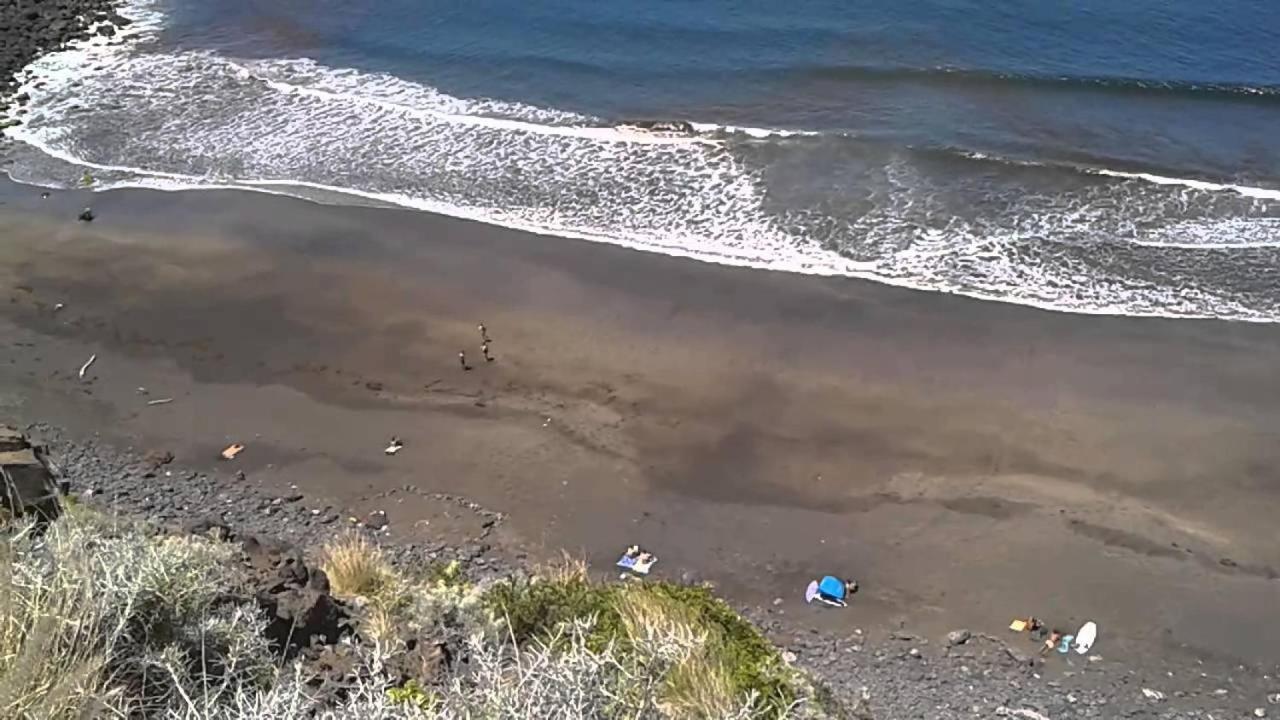 La Trinidad Daire La Laguna  Dış mekan fotoğraf