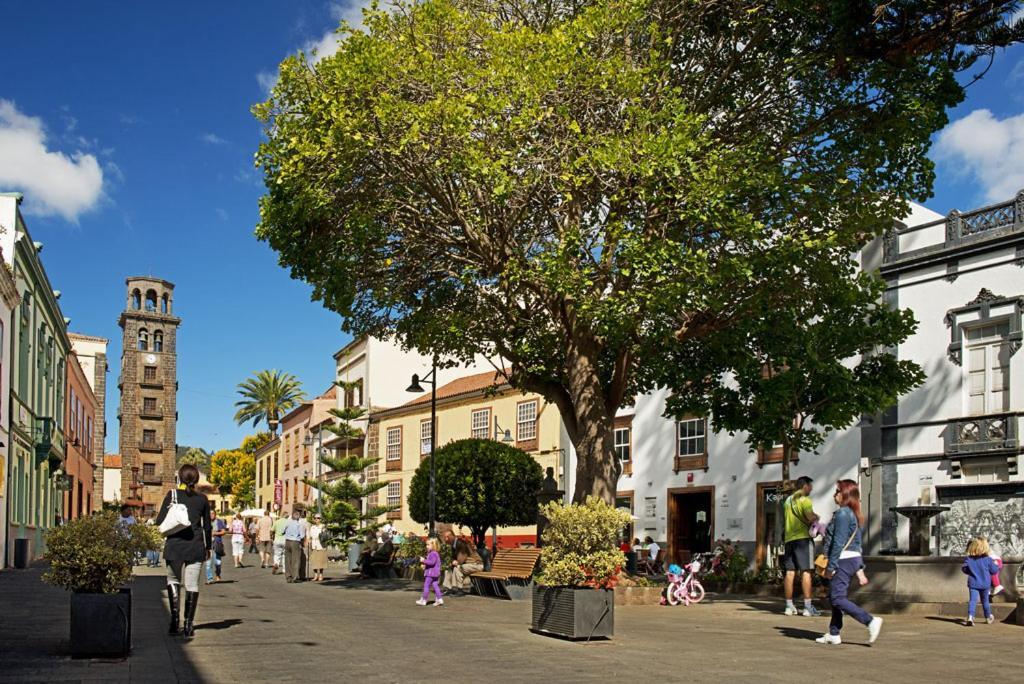 La Trinidad Daire La Laguna  Dış mekan fotoğraf